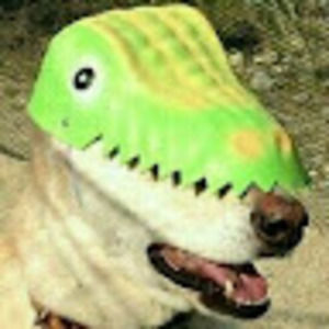 Meet your Posher, Ian